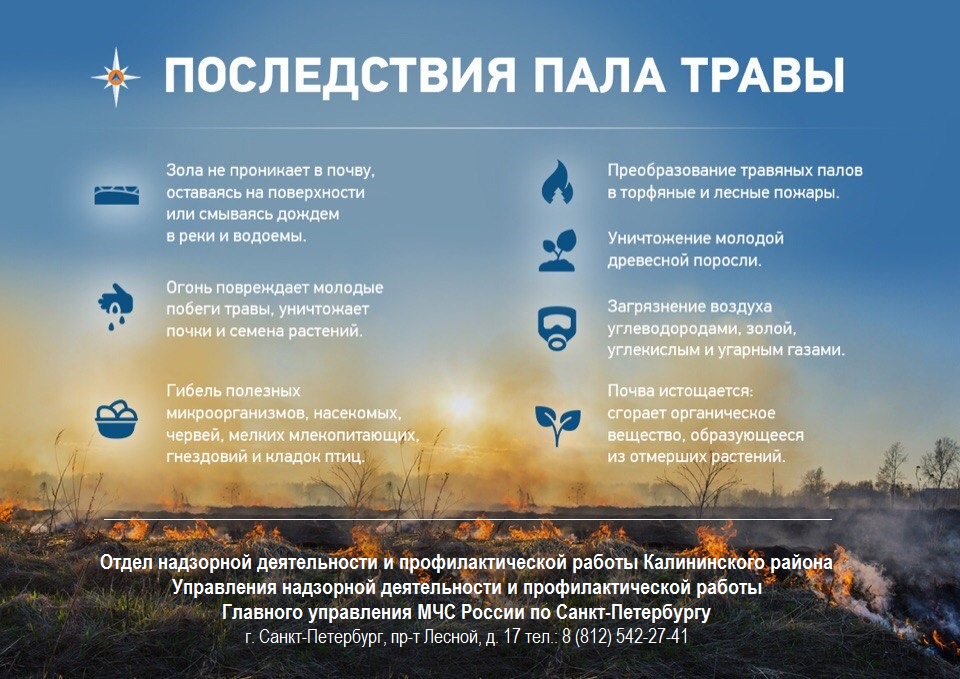 Последствия пала травы