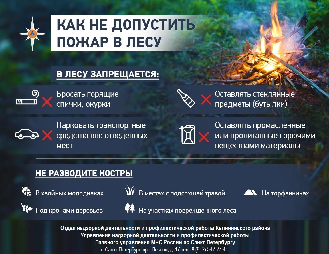Как не допустить пожар в лесу
