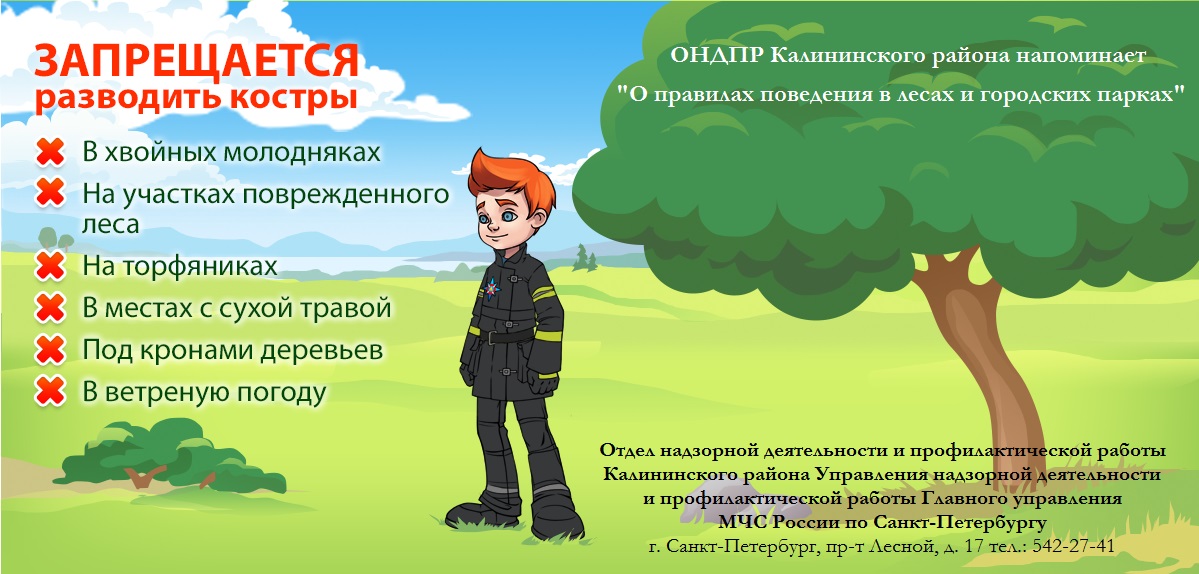 О правилах поведения в лесах и городских парках №1
