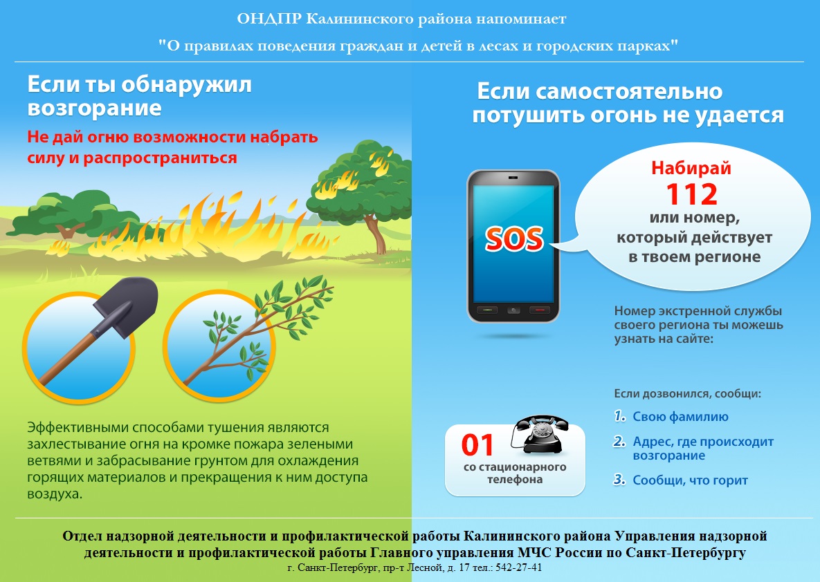 О правилах поведения в лесах и городских парках  №2